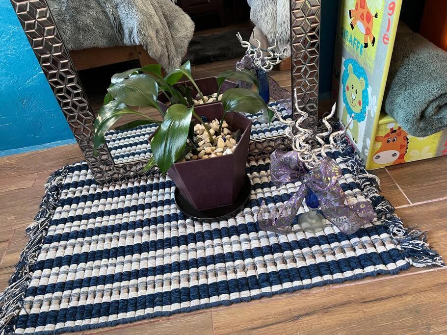 Apartamento Casa Matamoros